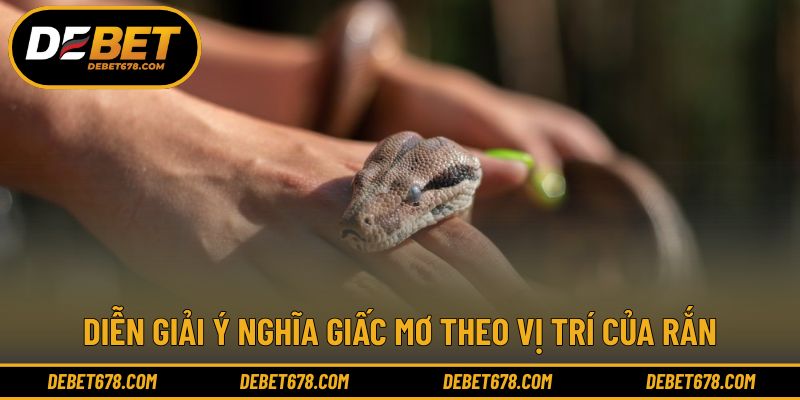 Diễn giải ý nghĩa giấc mơ theo vị trí của rắn