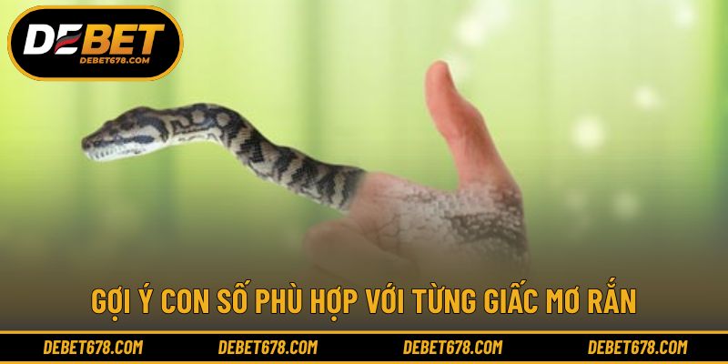 Gợi ý con số phù hợp với từng giấc mơ rắn