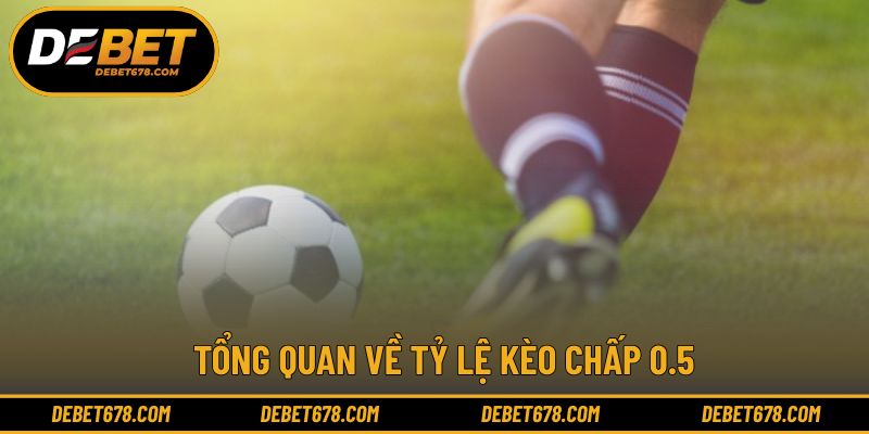 Khái quát cách hiểu và áp dụng tỷ lệ kèo chấp 0.5