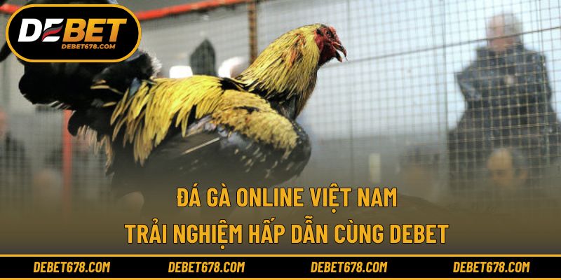 Khái quát xu hướng theo dõi đá gà trực tuyến hiện nay
