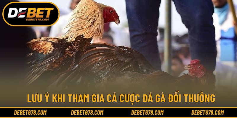 Những điểm cần ghi nhớ khi tham gia đá gà trực tuyến