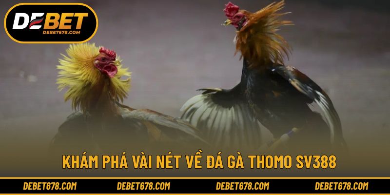 Những yếu tố tạo nên sự khác biệt của đấu trường