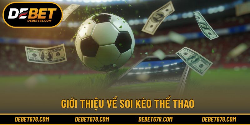 Phân tích tỷ lệ giúp lựa chọn sáng suốt hơn