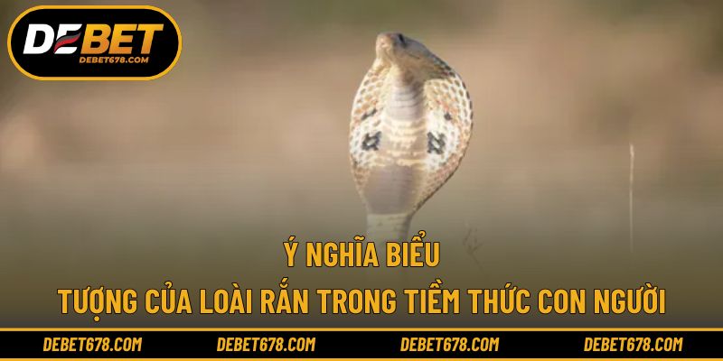 Ý nghĩa biểu tượng của loài rắn trong tiềm thức con người